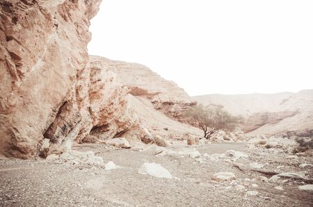 Beautiful sandstone cliffs of the Red Canyon in the mountains of Southern Eilat, Israel. - Imageの写真素材