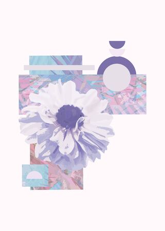 Geometric abstract design with flower on white background. - Imageの写真素材