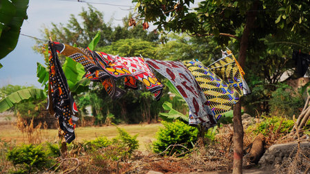 Colorful cloth hanging on the clothesline in the garden, Thailand.の写真素材