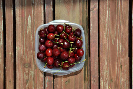 Typical summer red cherriesの写真素材