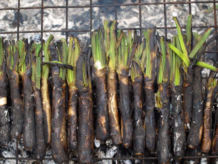 Catalan type of green onion grilled over a hot fireの写真素材