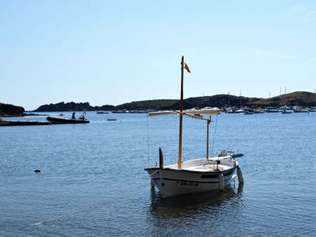 Colorful texture background surface with natural patternの写真素材