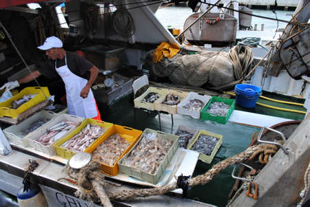 Rimini, Italy, November 19, 2010: Fisherman's boat full of fresh fish. Fisherman at workのeditorial素材