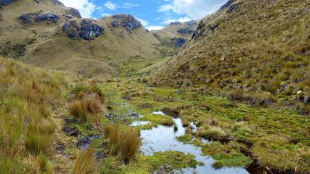 Trail in Cajas, Azuay province, Ecuadorの写真素材