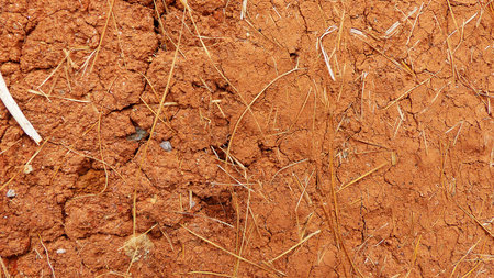 Background of natural brown adobe clay plaster texture with straw