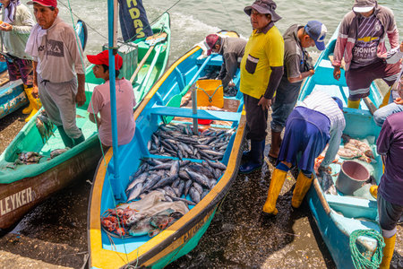 Santa Rosa, Ecuador - March 24, 2023: Santa Rosa fish market. Artisanal fishermen return home after...