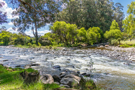The confluence of rivers Tomebamba and Yanuncay in the valley of city Cuenca, El Paraiso Park, Ecuadorの写真素材