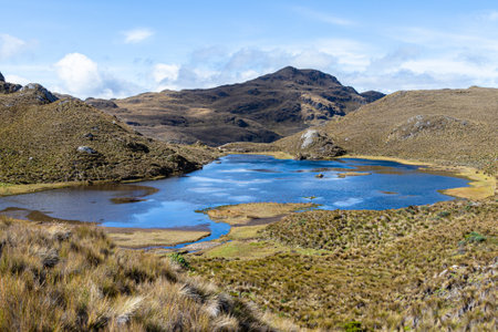 El Cajas National Park in the Ecuadorian Andes. Mountain landscape. Lake (lagoon) Togllacocha at an altitude of 4000 m above sea level. Paramo ecosystem. Azuay Province near city Cの写真素材