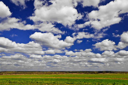 The beautiful country landscape with white clouds on the sky の写真素材