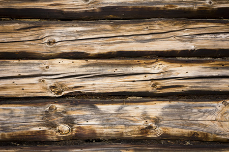 Fragment of wall of the old wooden building bitten by pestsの写真素材