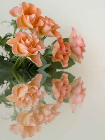 A bouquet of roses on a bright background. Reflected in water. Several of blooming fresh bright orange roses.の写真素材