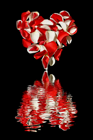 Heart from the petals of roses on a black backgroundの写真素材