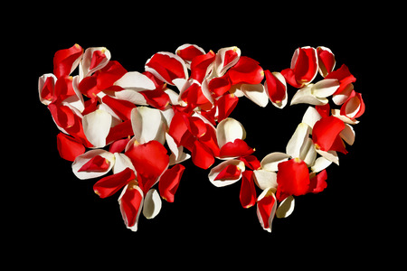 Two hearts with petals of roses on a black backgroundの写真素材