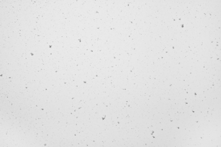 Falling snow against the gray sky. Winter. Snowflakes in different sizesの写真素材