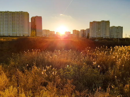 Sunset over the city. Houses and grass on the background of the setting sun.