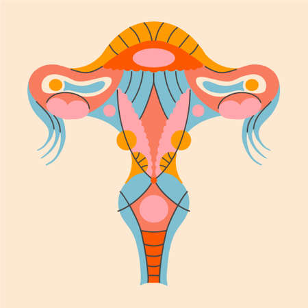 Female reproductive system geometric illustration. Handmade vector drawing of uterus in retro style. Gynecological image of the genitals decorative drawing. Art poster for print.のイラスト素材