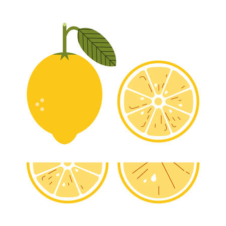 Set of lemons, halves and slices. Citrus fruits for lemonade with vitamin C. Vector geometric flat style.のイラスト素材