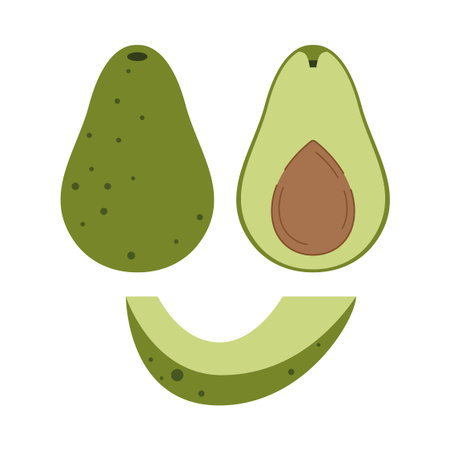 Avocado organic product. Set of a vector vegetable from a cut across and a separate slice. Geometric...