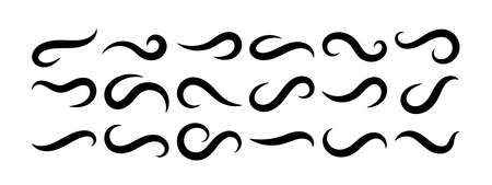 Hand drawn swoosh underline stroke vector set. Calligraphic emphasizie curved line. Element for typography. Collection of black brush strokes isolated on white background. Retro ornament tailsのイラスト素材