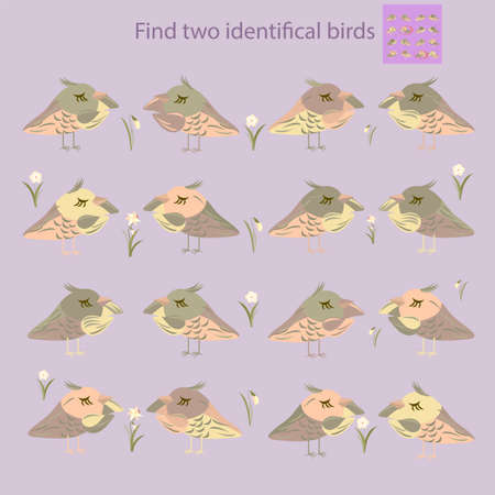 for children under the age of 10, find two identical birdsのイラスト素材