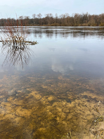 magnificent landscape flooding of the riverbed in early spring in March
