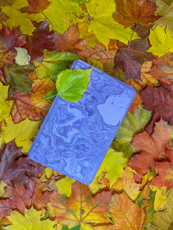 purple parallelogram on the background of colorful autumn maple leaves