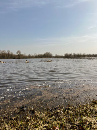 beautiful landscape in early spring - in April, Dniproの写真素材