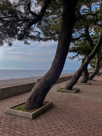 view of the beautiful green embankment in Kobuletiの写真素材