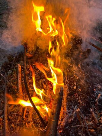 in the summer, tourists lit a bonfire in the forest at a rest stopの写真素材