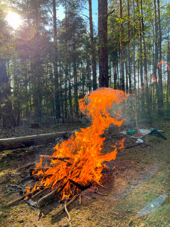 in the summer, tourists lit a bonfire in the forest at a rest stopの写真素材
