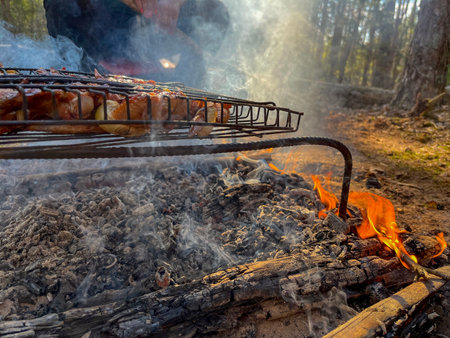 in summer, meat is grilled on a barbecue in the forest in natureの写真素材
