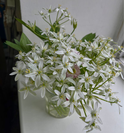 On the windowsill, there is a small, delicate bouquet of white snowdrops.