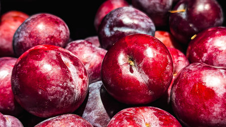 Group of fresh ripe red and purple plumsの写真素材