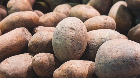 Large heap of fresh raw potatoes at a vegetable marketの写真素材