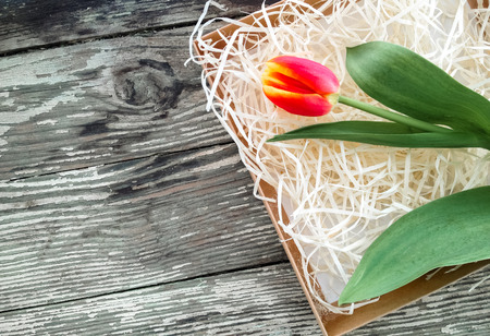Tulips flower bunch on dark barn wood planks background. Empty space for copy, text, lettering.の写真素材