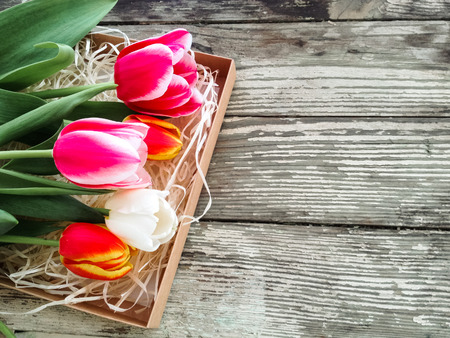 Tulips flowers bunch on dark barn wood planks background. Empty space for copy, text, lettering.の写真素材