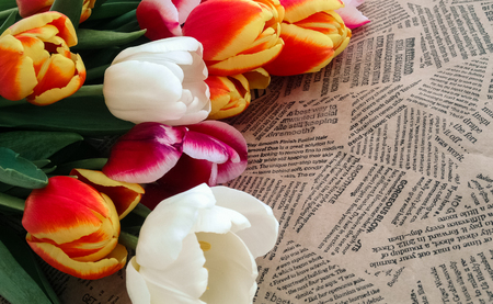 Tulips flowers bunch on Vintage newspaper background. Empty space for copy, text, lettering.の写真素材