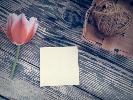 Tulip on dark barn wood planks background. Empty space for copy, text, lettering.の写真素材