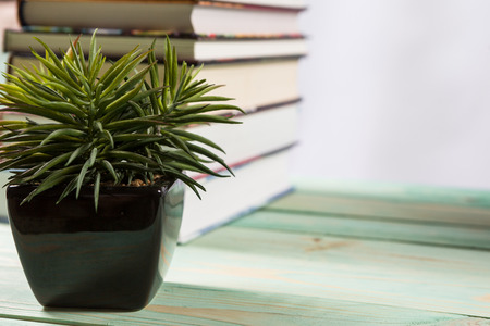 Potted and pile of various books on wooden background. With copy space for your textの写真素材