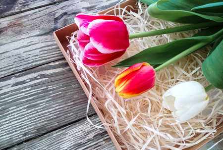 Tulips flowers bunch on dark barn wood planks background. Empty space for copy, text, lettering. の写真素材