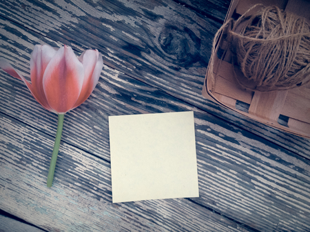 Tulip on dark barn wood planks background. Empty space for copy, text, lettering.  の写真素材