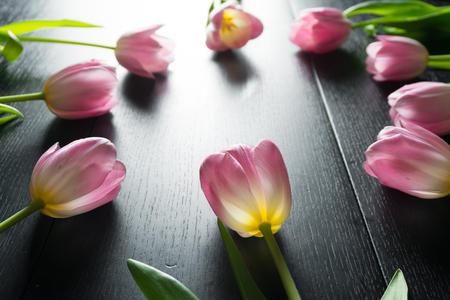 Border from bright pink tulips flowers on black wooden background.の写真素材