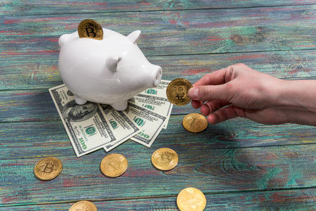 White piggy bank with one gold bitcoin coin new virtual money on a colored wooden backgroundの写真素材