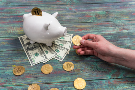 White piggy bank with one gold bitcoin coin new virtual money on a colored wooden backgroundの写真素材