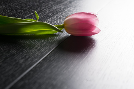 Border from bright pink tulips flowers on black wooden background. Selective focus.の写真素材