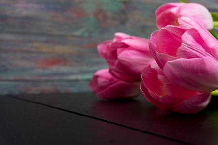 Border from bright pink tulips flowers on black wooden background. Selective focus.の写真素材