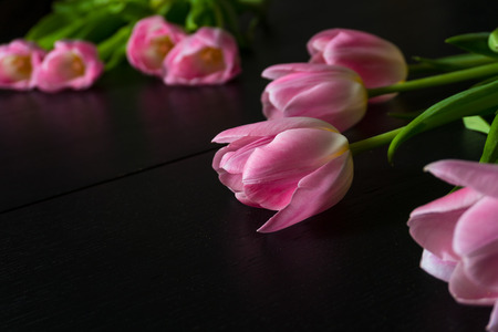Border from bright pink tulips flowers on black wooden background. Selective focus.の写真素材