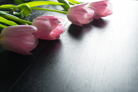 Border from bright pink tulips flowers on black wooden background. Selective focus.の写真素材