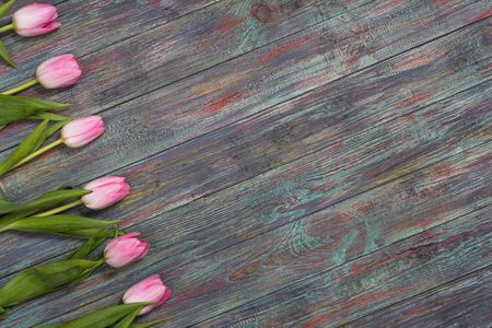 Border of fresh pink spring tulips arranged in a row on rustic multicolor wooden boards. With copy spaceの写真素材