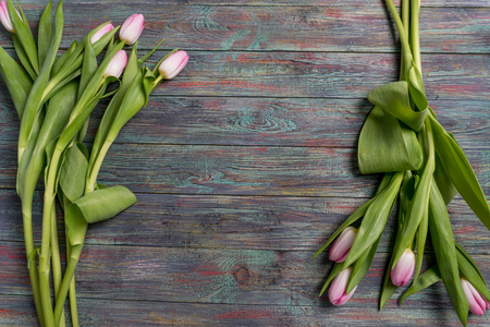 Border from bright pink tulips flowers on wooden background. Selective focus, place for textの写真素材